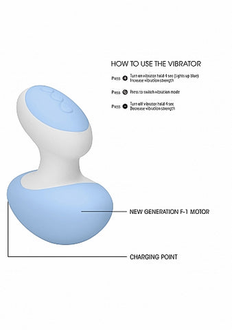 Lovebug Clitoris Vibrator